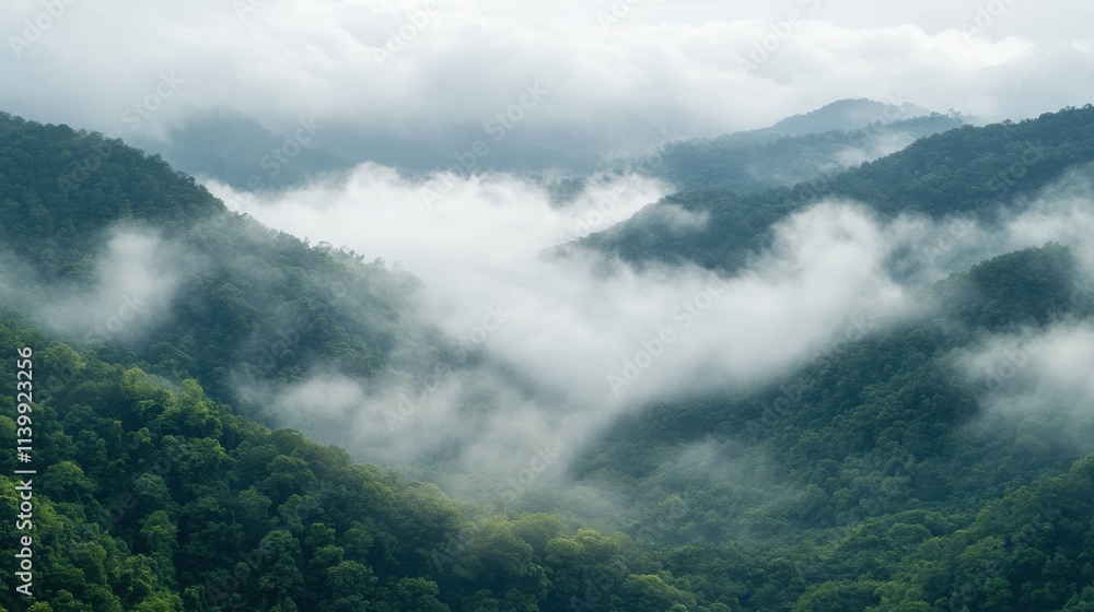 The sea of clouds in mountainous areas The sea of clouds in mountainous areas