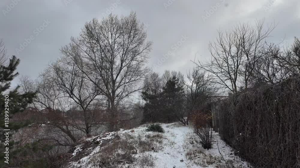 Walk in winter nature. It's snowing. Slow motion video. Snowy path. Walk in winter. Old iron fence in snow. Walk in winter nature. It's snowing. Slow motion video. Snowy path. Walk in winter. Old iron fence in snow.