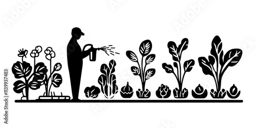 Individual fertilizing rows of vegetables growing in a large outdoor garden, Illustration
