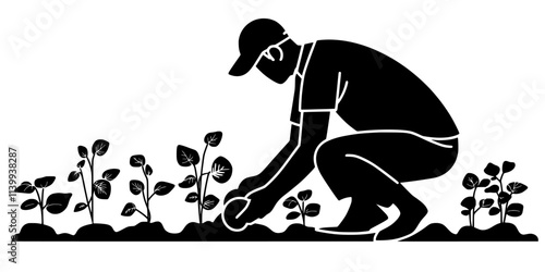Gardener applying organic mulch around plants in a home vegetable garden, Illustration