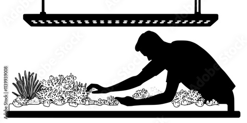 Person placing coral in a new reef tank while maintaining proper flow and light conditions, Illustration