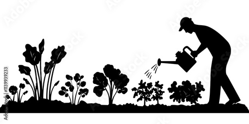 Individual watering a vegetable garden located in the front yard landscaping, Illustration