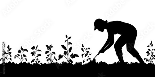 Someone digging small holes for planting vegetable seedlings in a backyard garden, Illustration