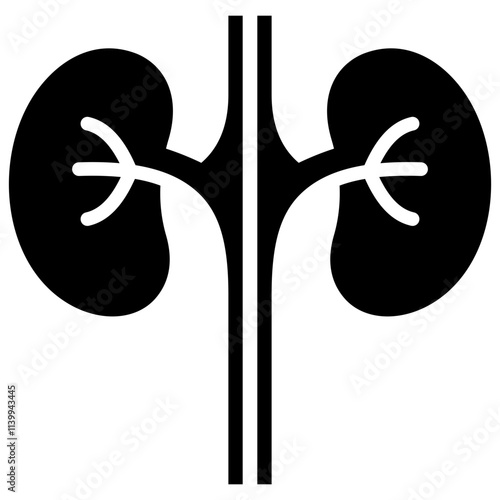 Nephrology Icon