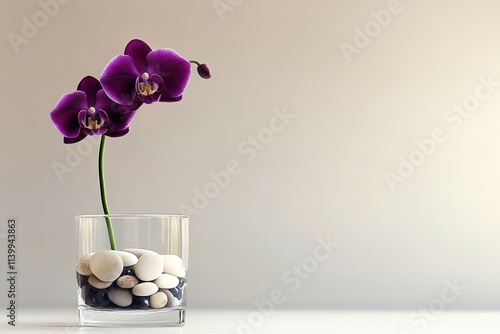 A captivating orchid gracefully stands alone in a modern glass vase, its delicate beauty amplified by the serene blend of pebbles