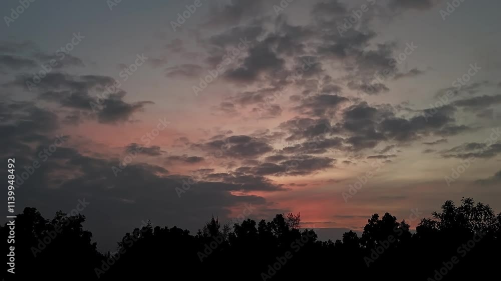 A tracking shot of beautiful colorful clouds in the sunset sky over silhouetted dark tall trees A tracking shot of beautiful colorful clouds in the sunset sky over silhouetted dark tall trees