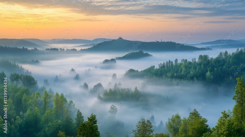 Fototapeta premium Misty Morning Landscape