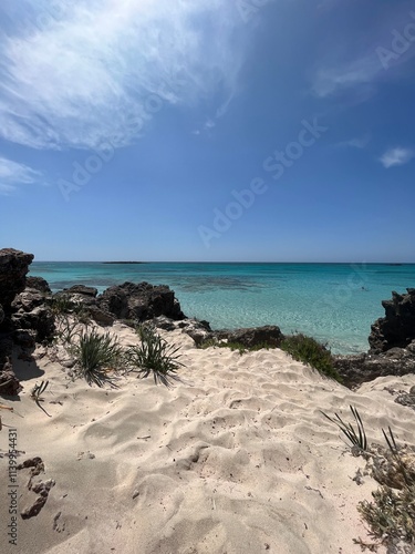 beach and sea