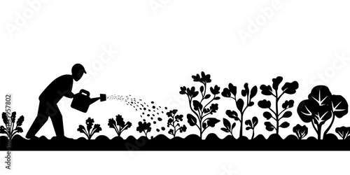 Individual fertilizing rows of vegetables growing in a large outdoor garden, Vector Graphic