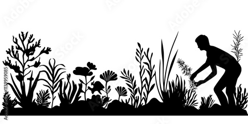 Person rearranging plant species in a planted aquarium to achieve balance, Vector Graphic