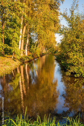 Obraz na płótnie Tall trees reflected in the water of a wide ditch. The photo was taken on a sunny day in the Dutch autumn season. w salonie