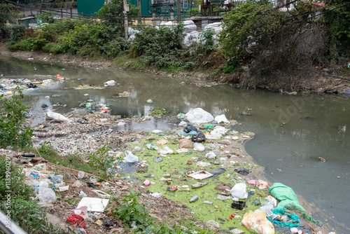 A pile of garbage, dead animals, floating in the stagnant water of a polluted drainage canal