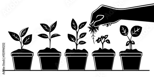 Someone transplanting seedlings into decorative containers in a small backyard garden, Vector Graphic