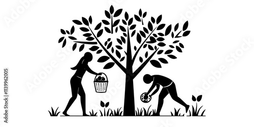 Two people collecting fruit from a tree using baskets in a backyard, Vector Graphic