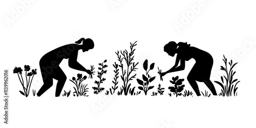 Two people pulling weeds from between rows of growing vegetables in a home garden, Vector Graphic