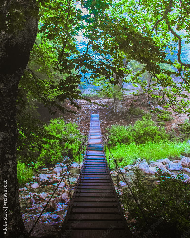 suspension bridge in the middle of the forest, surrounded by foliage and greenery suspension bridge in the middle of the forest, surrounded by foliage and greenery