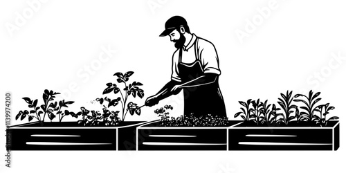 A gardener fertilizing the plants growing in multiple raised beds in a home garden, Vectorized Art