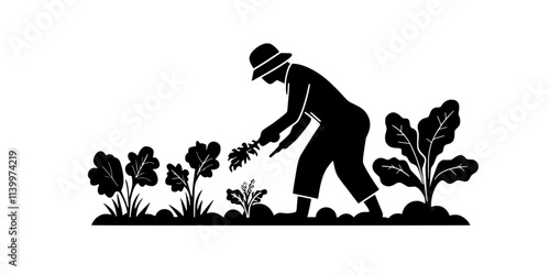 Gardener harvesting leafy vegetables from a garden plot using a small hand tool, Vectorized Art
