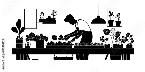 Gardener harvesting leafy greens from a hydroponic setup inside an indoor garden space, Vectorized Art