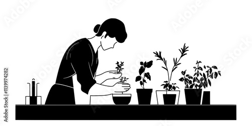 A gardener transplanting small indoor plants into new pots on a kitchen counter, Vectorized Art