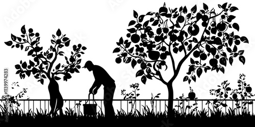 Gardener pruning the branches of fruit trees in a small backyard orchard, Vectorized Art