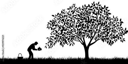 Person picking ripe fruit from the lower branches of a large backyard tree, Vectorized Art