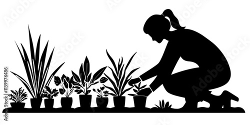 A person pruning dried leaves from a succulent collection displayed in a backyard garden, Vectorized Art