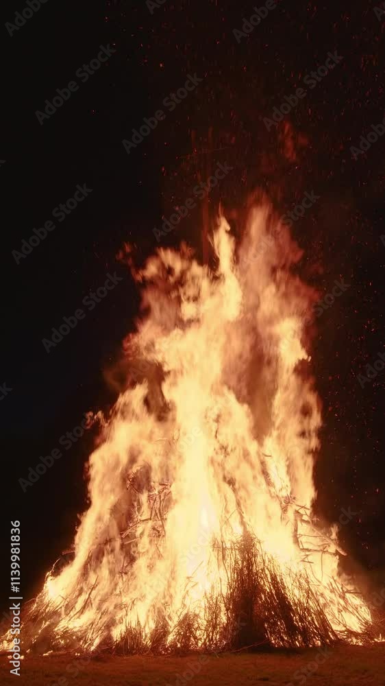 Big wild flame, bonfire. Vertical video Big wild flame, bonfire. Vertical video
