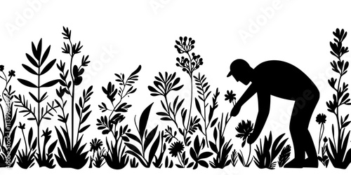 Man organizing native plant species to form a natural garden border, Vectorized Art