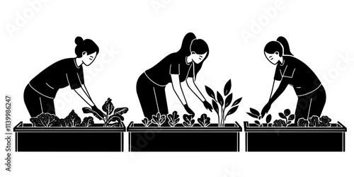 Team installing raised beds for growing vegetables in a residential yard, Vectorized Art