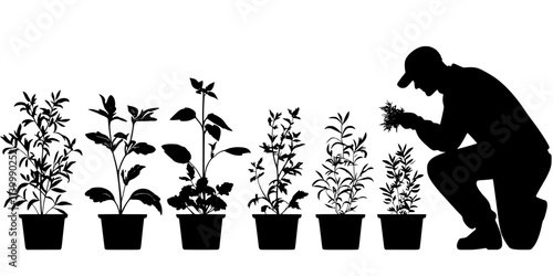 A gardener arranging various herbs in a vertical garden setup against a garden wall, Illustration