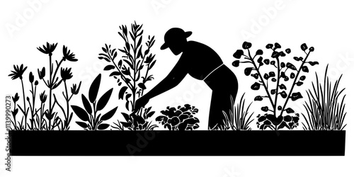 A gardener fertilizing the plants growing in multiple raised beds in a home garden, Illustration
