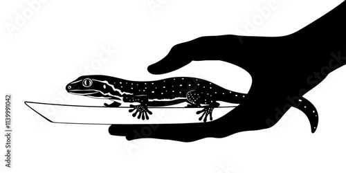 A handler carefully lifting a gecko, demonstrating how to support the reptile’s body, Illustration