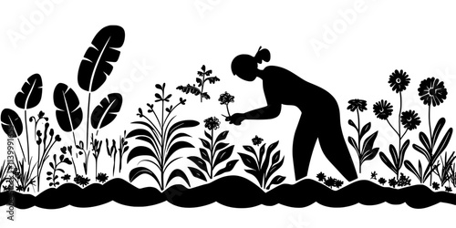 Person fertilizing the soil around perennials in a large garden bed, Illustration