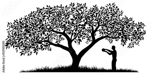 Person picking ripe fruit from the lower branches of a large backyard tree, Illustration