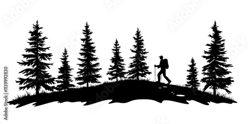Single hiker trekking down a wide trail bordered by tall trees, Illustration