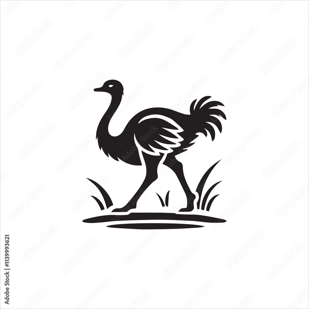 Fototapeta premium black and white swan