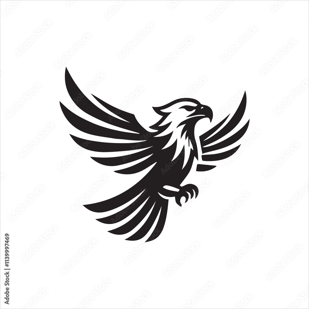 Obraz premium eagle with wings