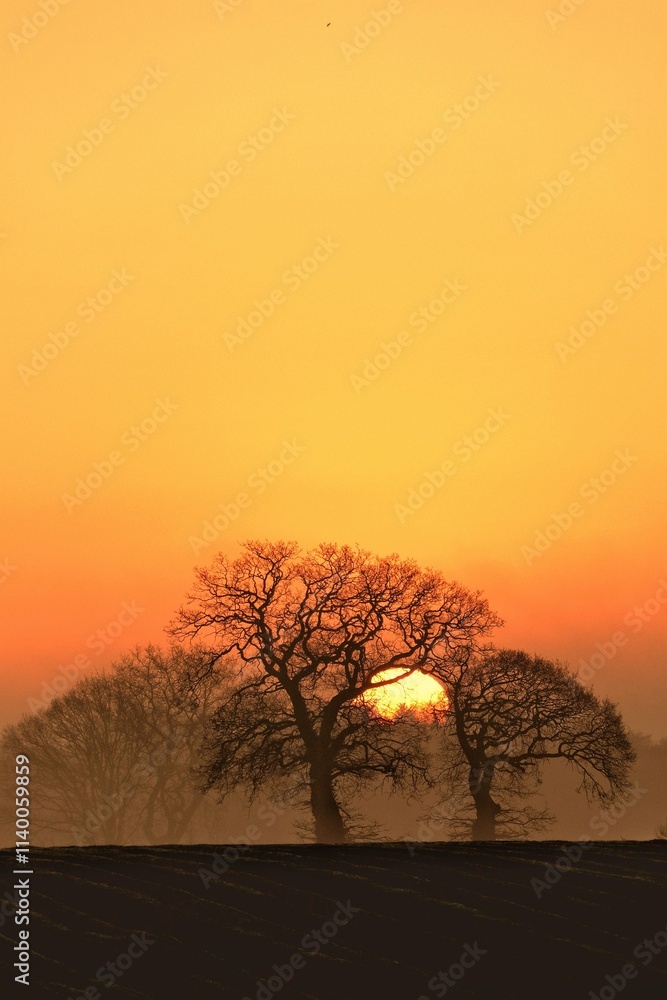 The breathtaking beauty of a sunrise over a rural landscape. The sky is ablaze with a vibrant orange hue, illuminating the silhouettes of bare trees that stand tall against the horizon. The breathtaking beauty of a sunrise over a rural landscape. The sky is ablaze with a vibrant orange hue, illuminating the silhouettes of bare trees that stand tall against the horizon.