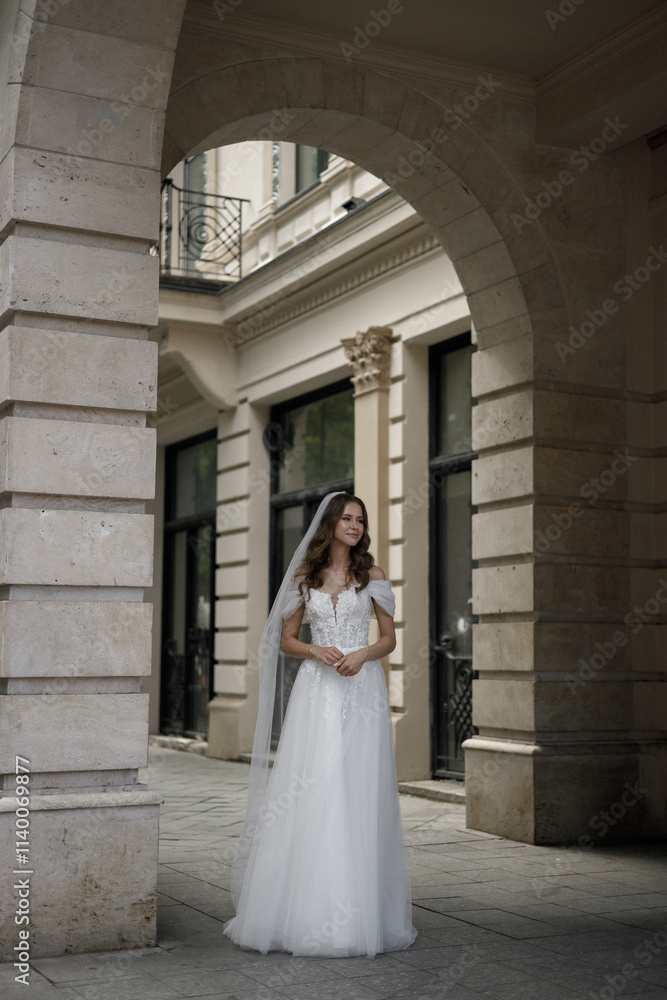 An Elegant Bride Wearing a Stunning Wedding Dress Strolling on a Charming City Street An Elegant Bride Wearing a Stunning Wedding Dress Strolling on a Charming City Street