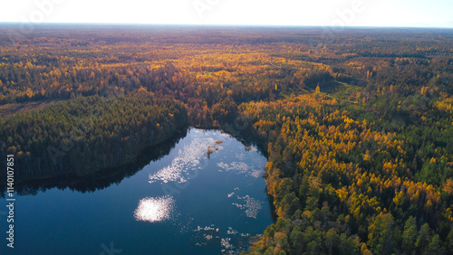 autumn in the mountains,  lake in the middle forest 