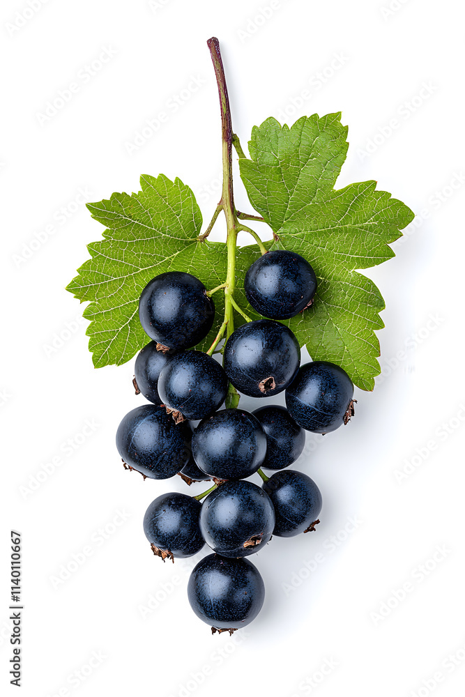 Black currant berries isolated on white background Black currant berries isolated on white background