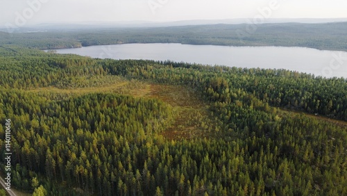 Wild nature of Sweden, lake and forest, foto from a drone 