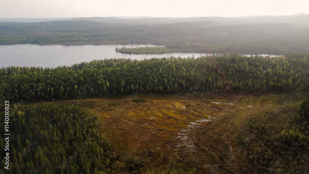 Obraz premium landscape with drone, nature of Sweden, wild forest 