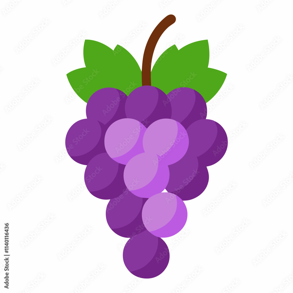 Fresh Grapes Fruit vector in white background Fresh Grapes Fruit vector in white background