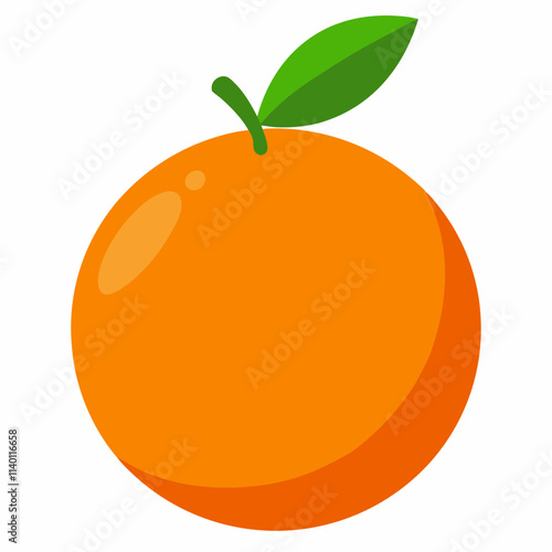 Fresh Orange Fruit vector in white background