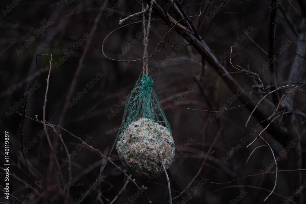 A bird feeder ball wrapped in green netting hanging from tree branches, surrounded by a tangle of bare twig A bird feeder ball wrapped in green netting hanging from tree branches, surrounded by a tangle of bare twig