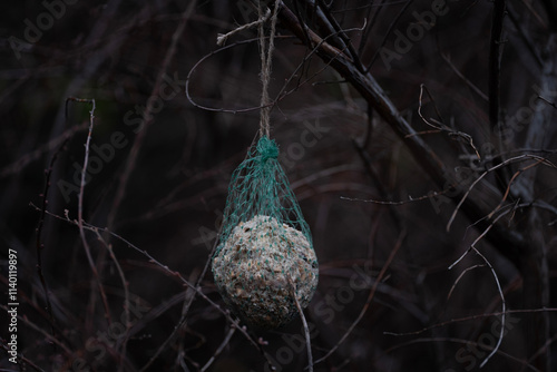 A bird feeder ball wrapped in green netting hanging from tree branches, surrounded by a tangle of bare twig photo