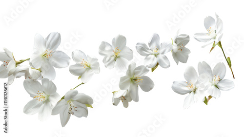 Delicate white flowers cascading elegantly on a vibrant green background, evoking a serene springtime ambiance in nature's beauty