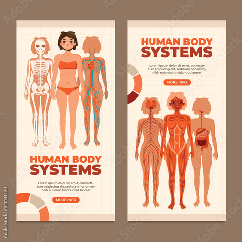 Flat human body vertical banner template collection